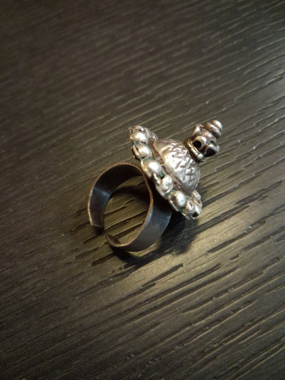 Shikhar Ring