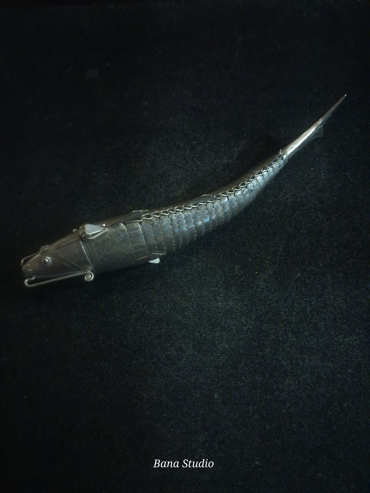 Auspicious Fish